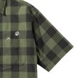 #8603 dusty olive checks