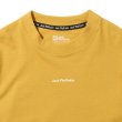 #M0042 mustard