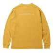 #M0042 mustard