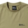 #4288 khaki